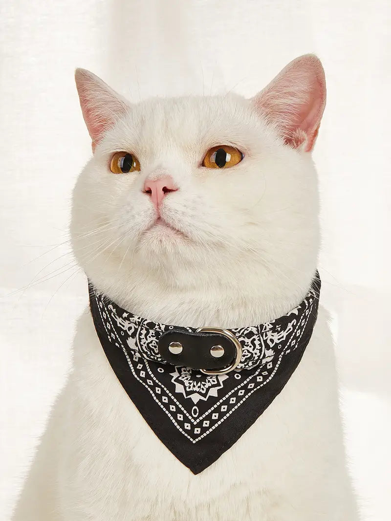 CoolAzz Pet Collar